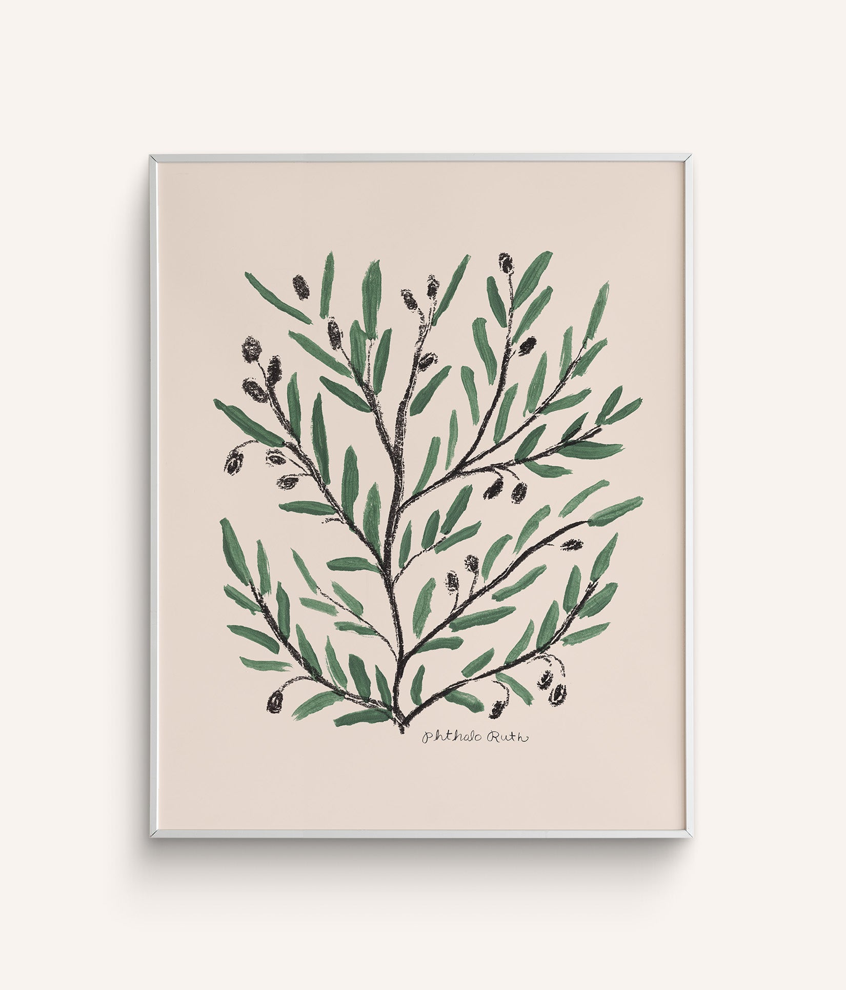 An olive tree art print featuring green leaves, with ripe olives on a white background.