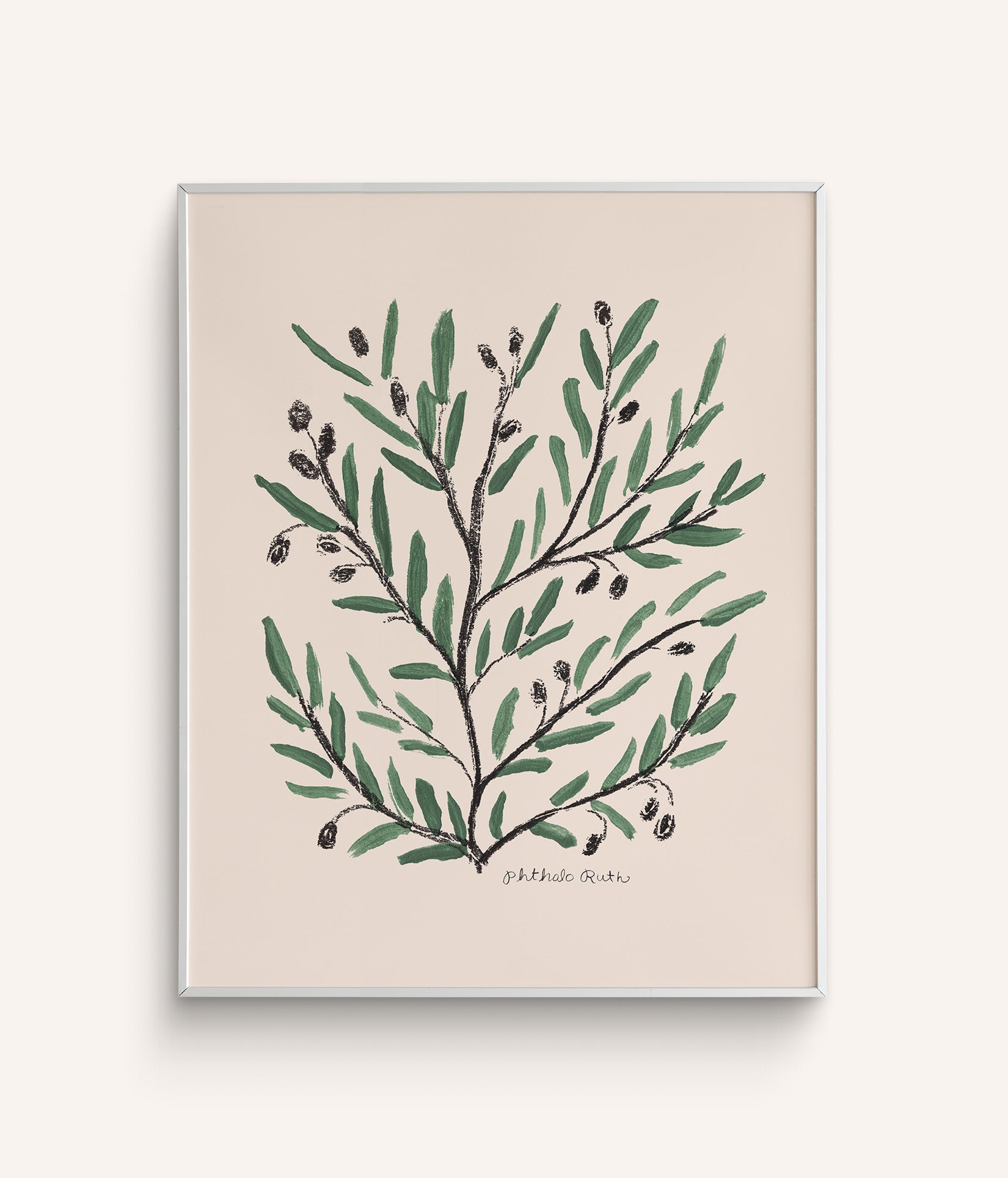 An olive tree art print featuring green leaves, with ripe olives on a white background. 